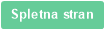 Spletna stran